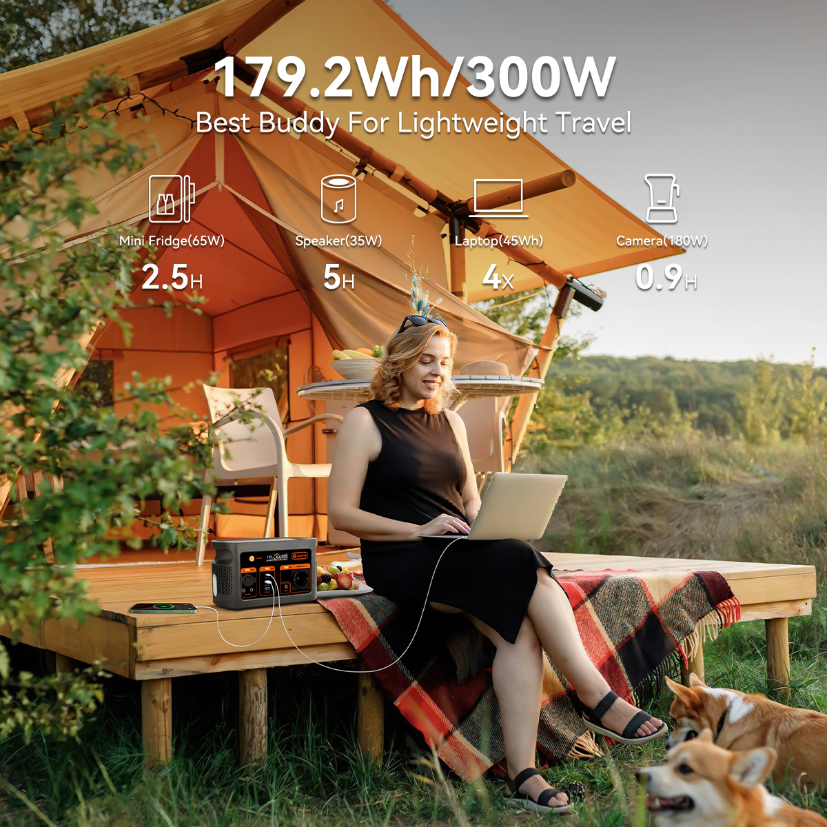 300W pure sine wave solar gene – Outdoor Power Generator Bewertung und Preis