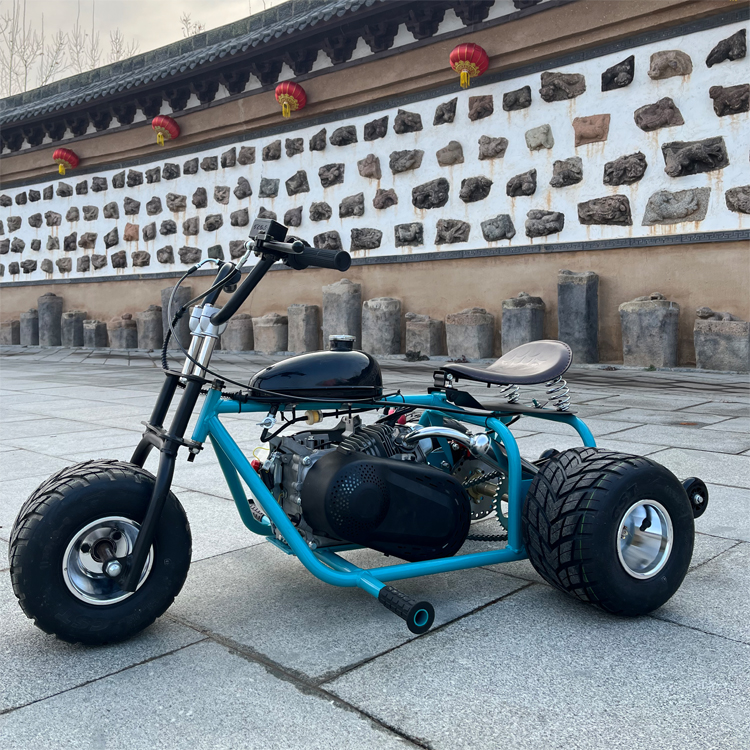 4-stroke gas-powered drift tri – Outdoor Power And Pedal Bewertung und Preis