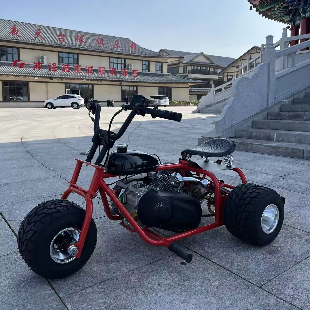 212cc 8.5 4-Stroke Gas-Powered – Outdoor Power And Pedal Bewertung und Preis