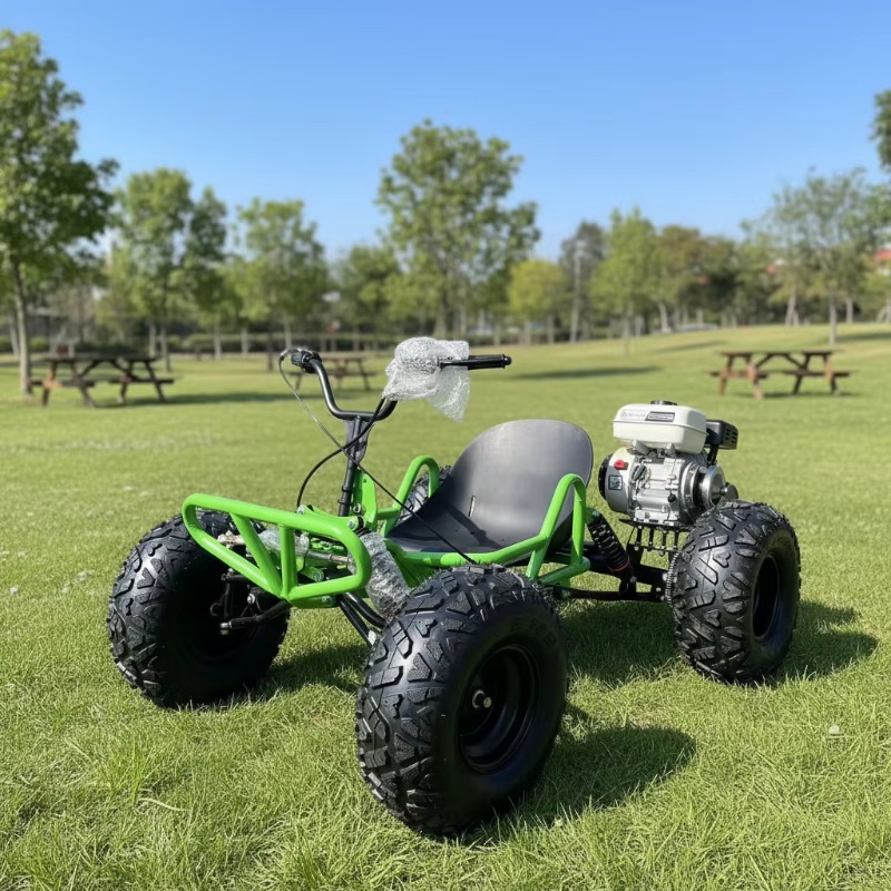 212CC 4 Stroke Pedal Go Kart I – Outdoor Power And Pedal Bewertung und Preis